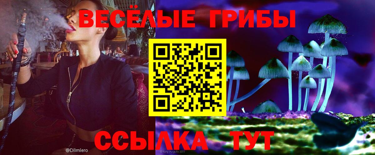 Галлюциногенные грибы GOLDEN TEACHER  Галлюциногенные грибы MAGIC MUSHROOMS  Вход с VPN  Сатка 